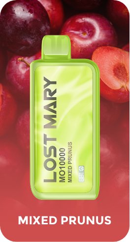 Buy cheapest online Lost Mary 10000 Puffs Disposable Vape Pod Mixed Prunus at lowest price in uk