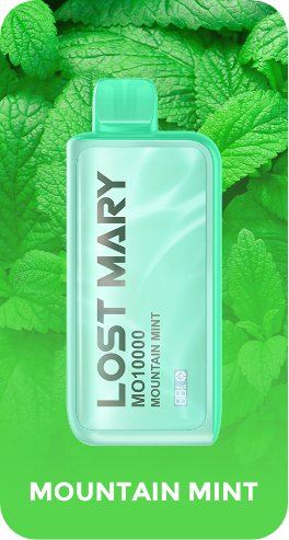 Buy cheapest online Lost Mary 10000 Puffs Disposable Vape Pod Mountain Mint at lowest price in uk